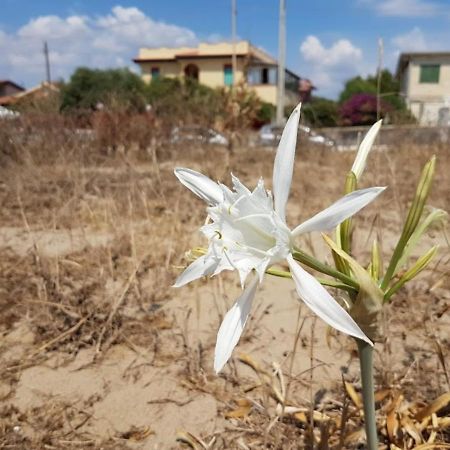 Maison Du Soleil أغنون باني المظهر الخارجي الصورة