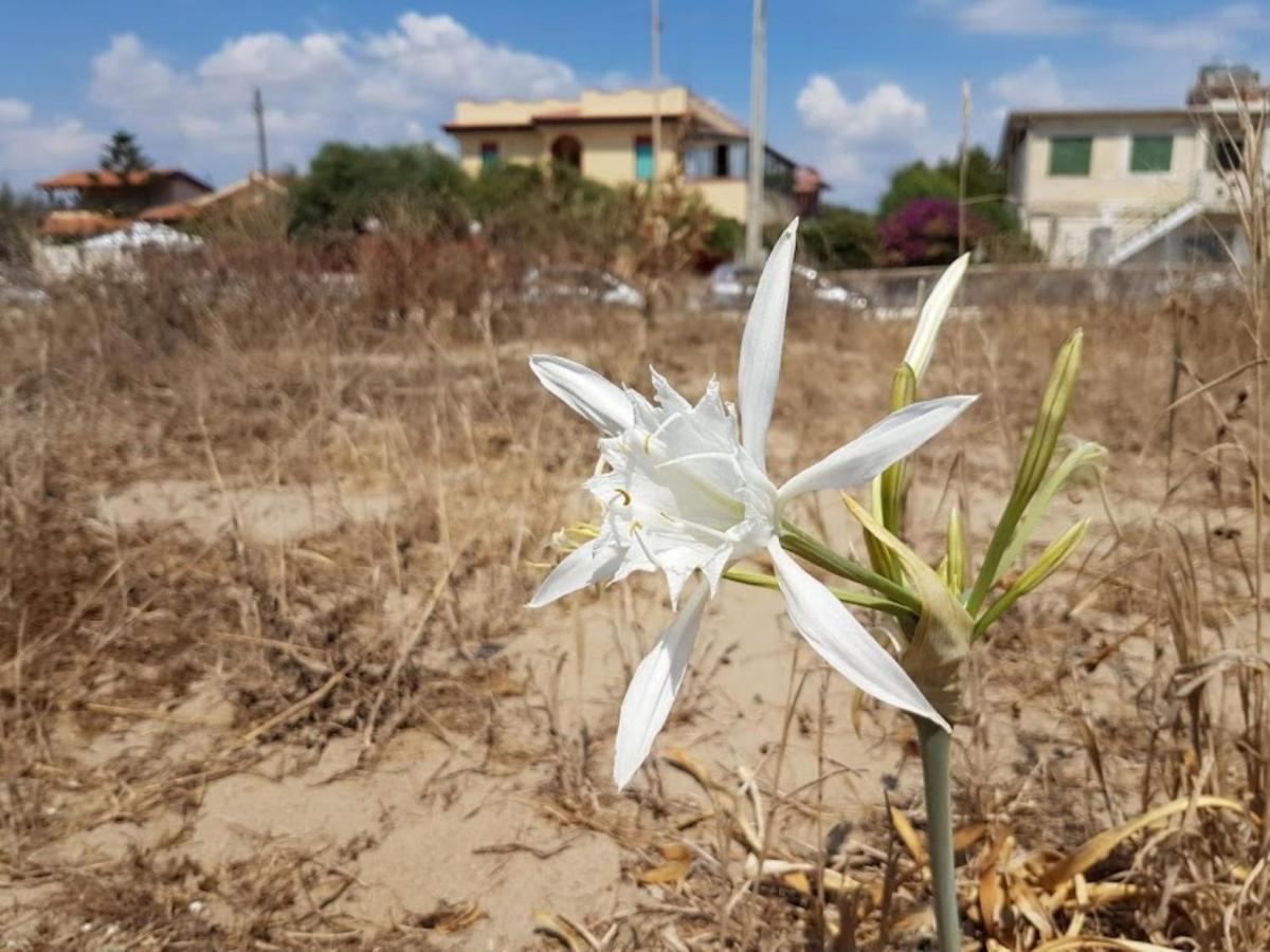 Maison Du Soleil أغنون باني المظهر الخارجي الصورة